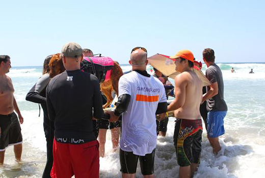 Surf Dog 2